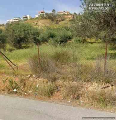 εικόνα_Viber_2025-09-05_14-43-25-016.jpg